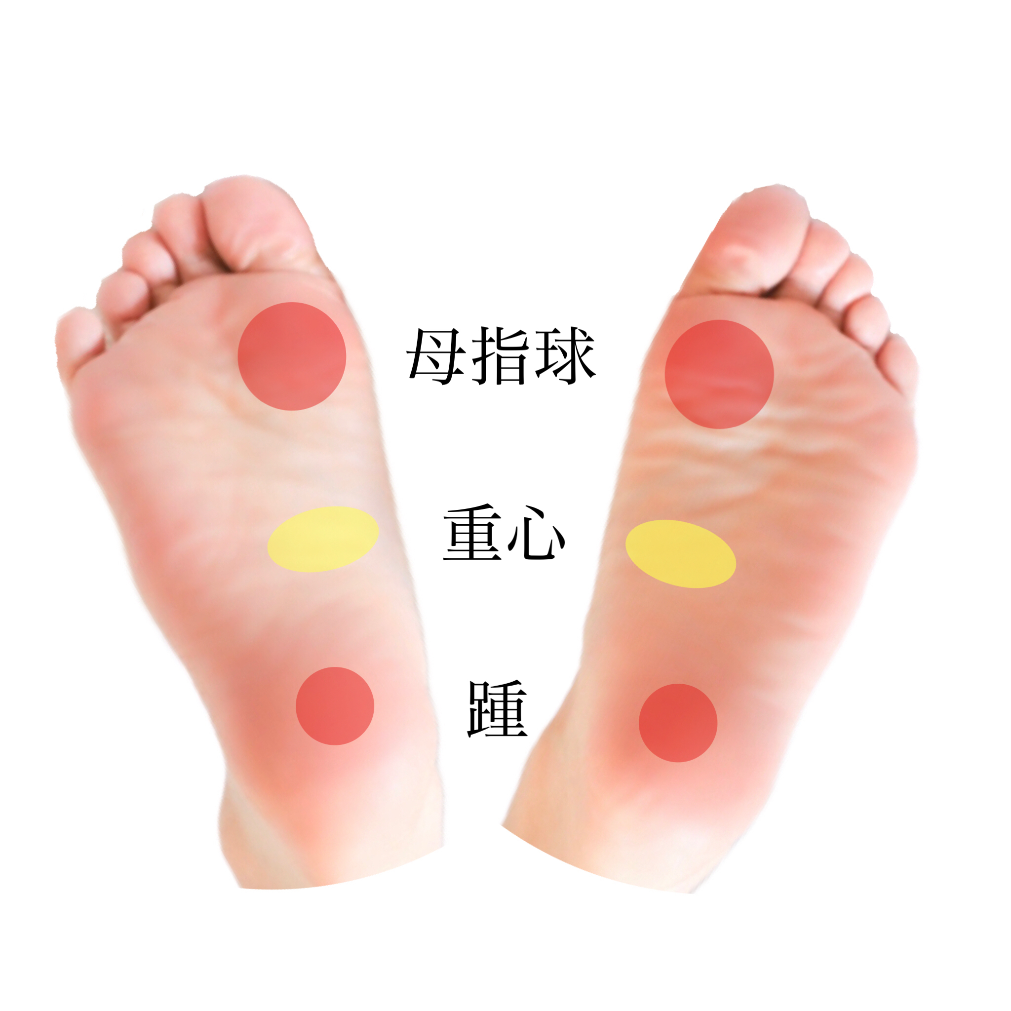 スウェーを無くす母指球スイング – 阿立祐士のカラダマニュアル®